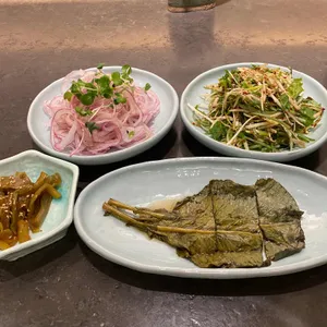 한와담 사진