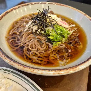 아비꼬 사진