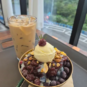 신불산에봄 사진