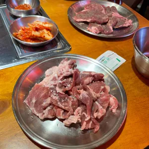 떼지코 사진