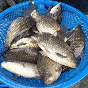 여주선 대표 사진