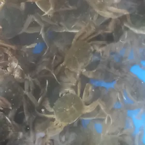 여주선 대표 사진