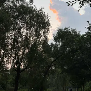 천지소곱창 리뷰 사진