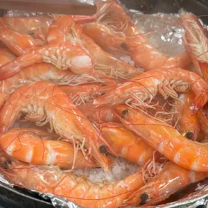 참바다 사진