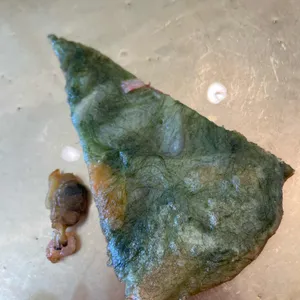 프로간장게장 사진