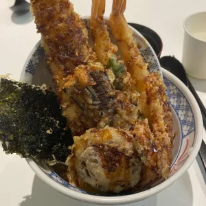 코카모메 사진