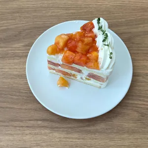 윤숲 사진