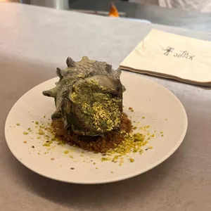피쇽 사진