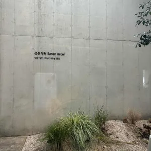 상두그레이 리뷰 사진
