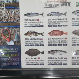 북극해고등어 리뷰 사진