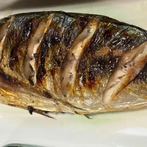 기꾸참치 사진