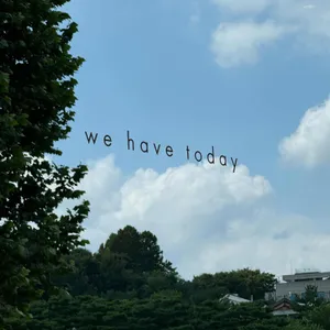 위해브투데이 리뷰 사진