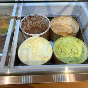 오드펠로우즈 사진