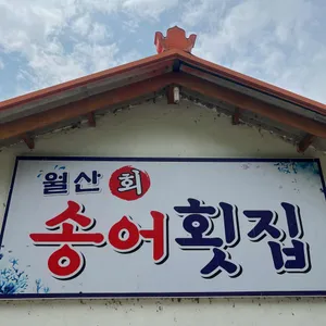 월산송어횟집 리뷰 사진