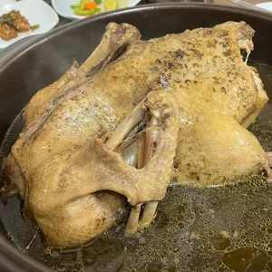 참오리 사진
