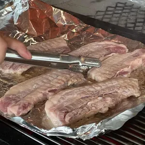 천년소나무 사진