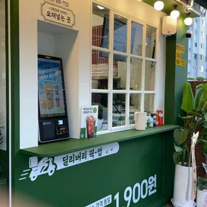 백억커피 사진