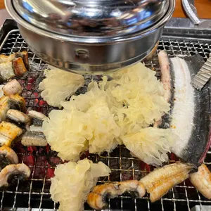 천상애장어가 사진