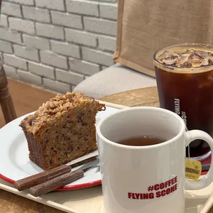 플라잉스콘 리뷰 사진