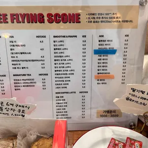 플라잉스콘 리뷰 사진