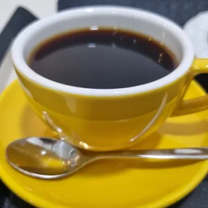 엘빈 사진 2