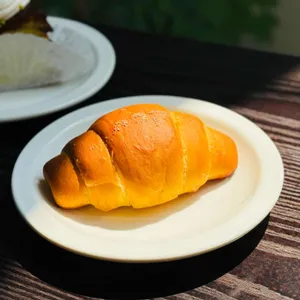 플란트 사진