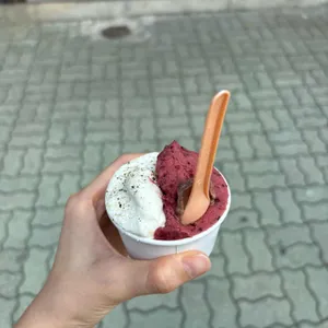 라또래요 사진