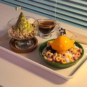 D13 사진