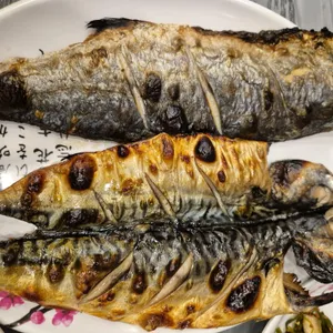 착한물고기 사진