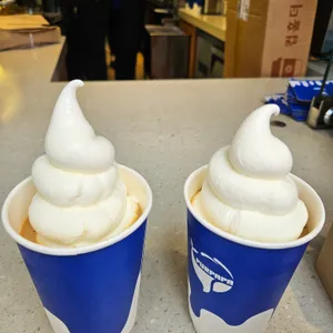 푸르파파 사진