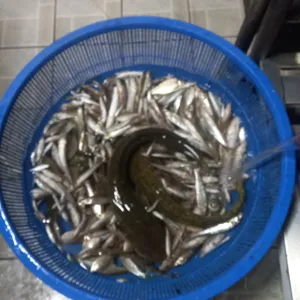 여주선 대표 사진