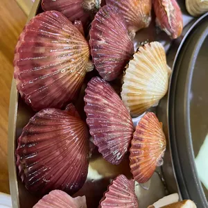 대부도바닷마을칼국수 사진
