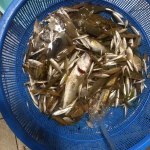 여주선 대표 사진