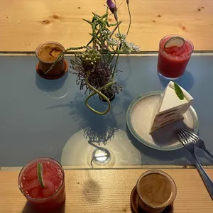 코다 사진