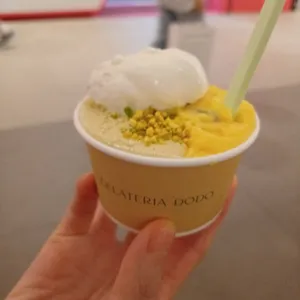 젤라떼리아 도도 사진