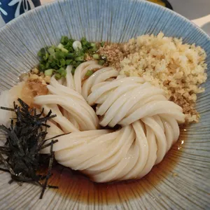 테보 사진