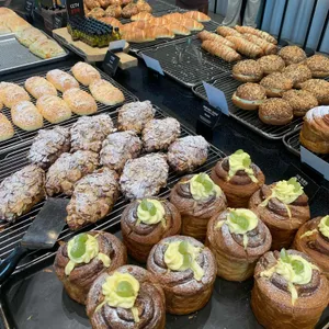 칼리오페 사진