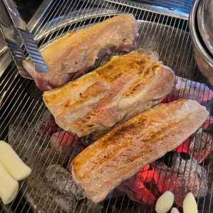 제주퐁낭 사진