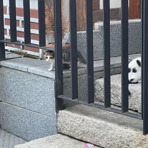 슬로운 리뷰 사진