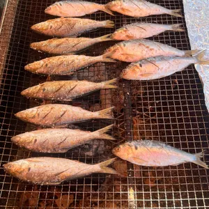 호남수산 사진