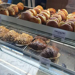 노티드 사진