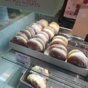 노티드 사진