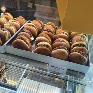 노티드 사진