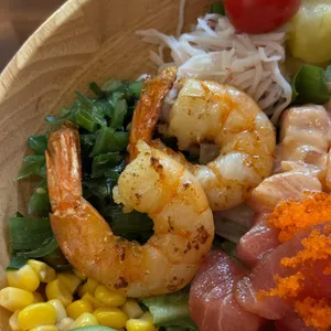 폴라니 포케 사진