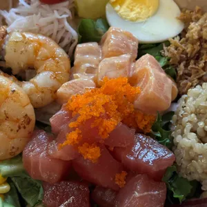 폴라니 포케 사진