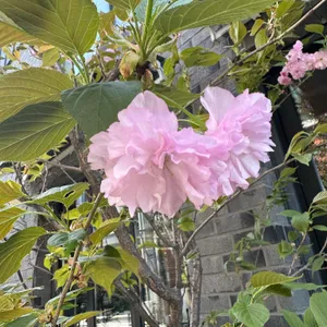 카페 아키비스트 리뷰 사진
