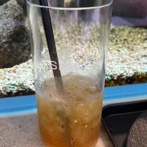 슬로우커피 사진