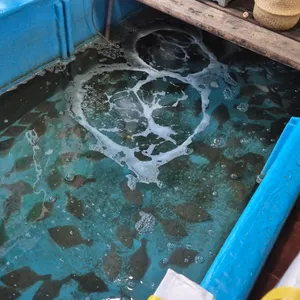 송도물회 리뷰 사진