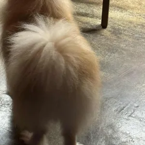 진한밤 리뷰 사진