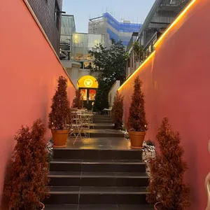틴틴 대표 사진